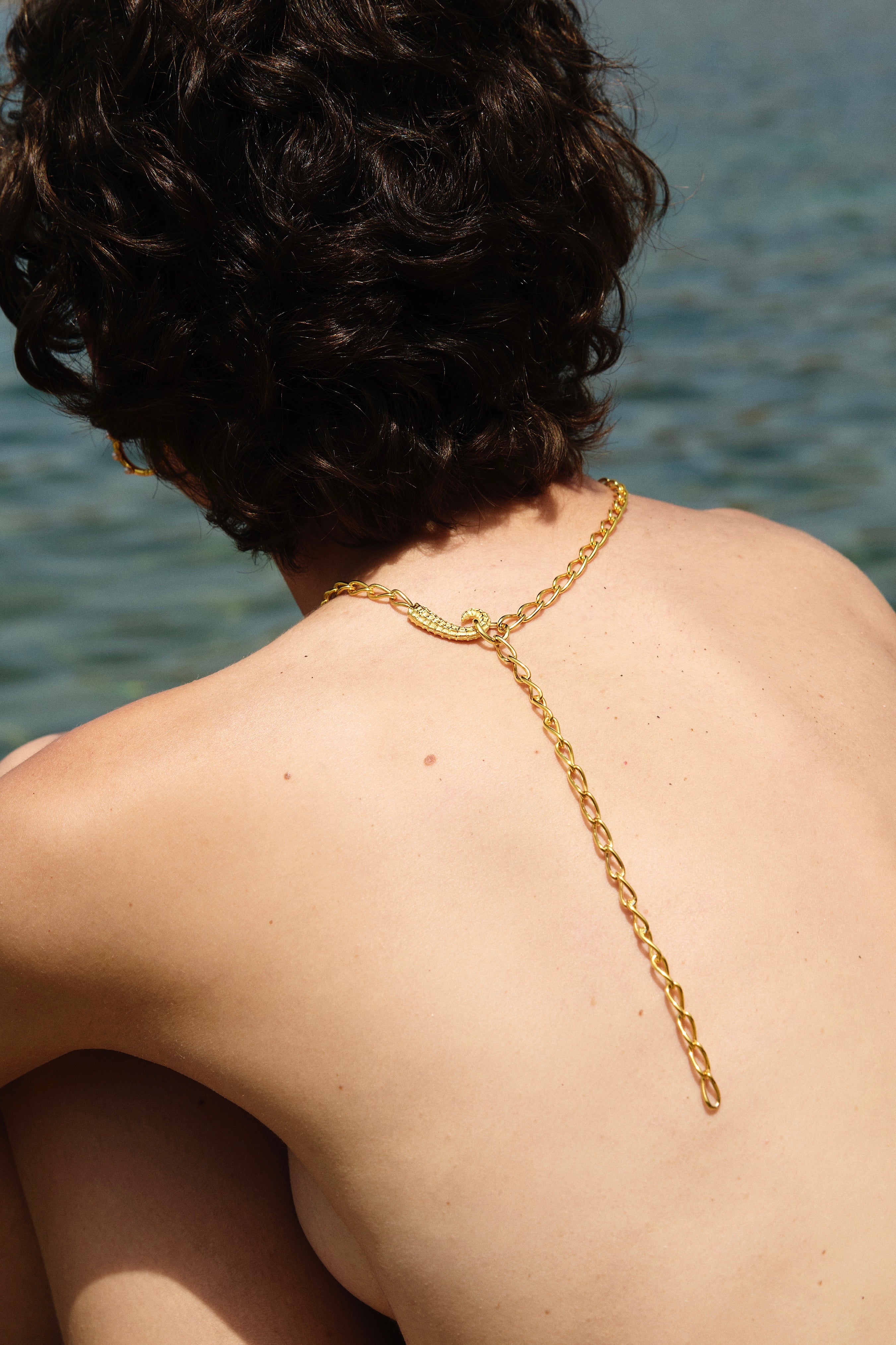 Ippos Chain