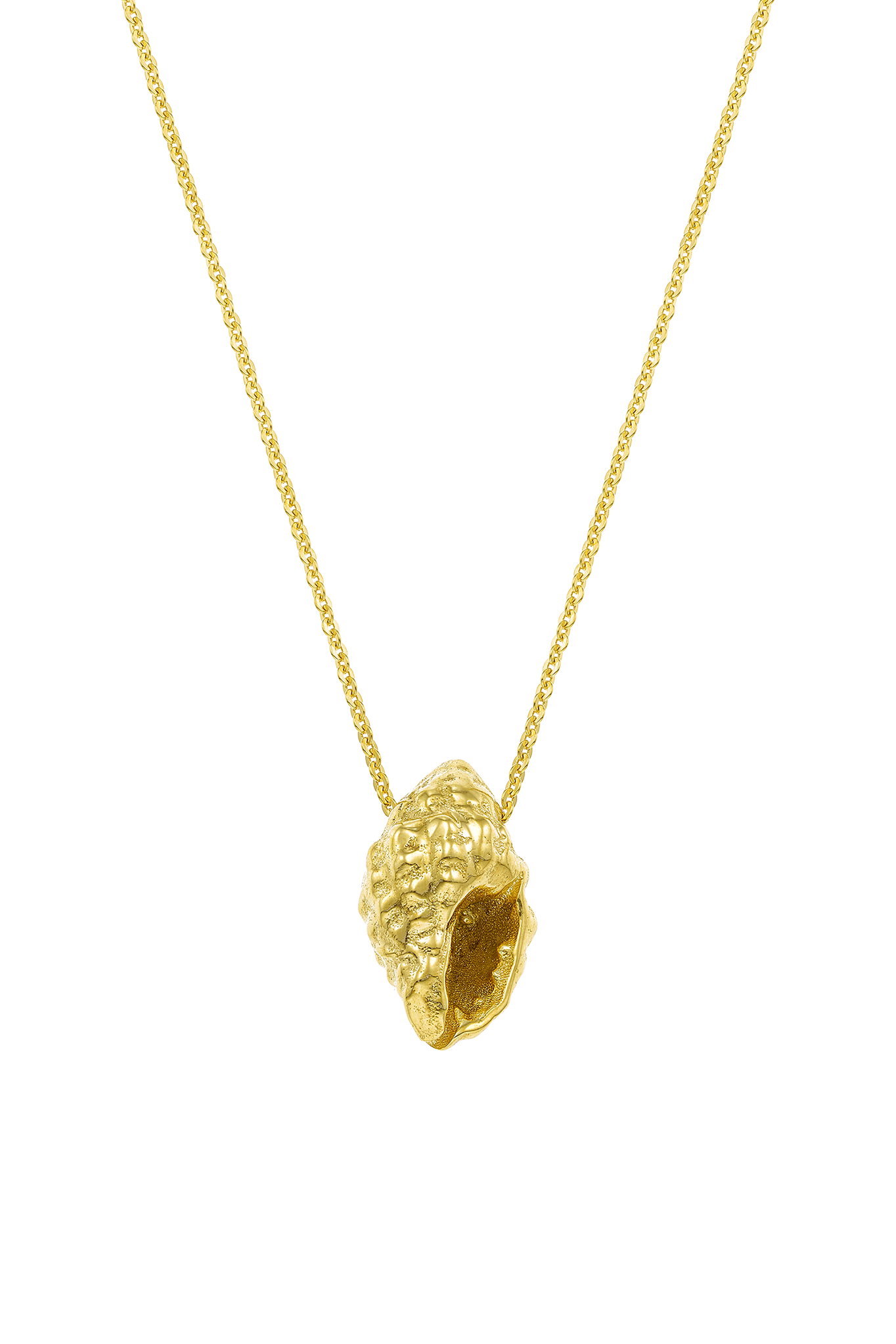 Shell Conch Necklace