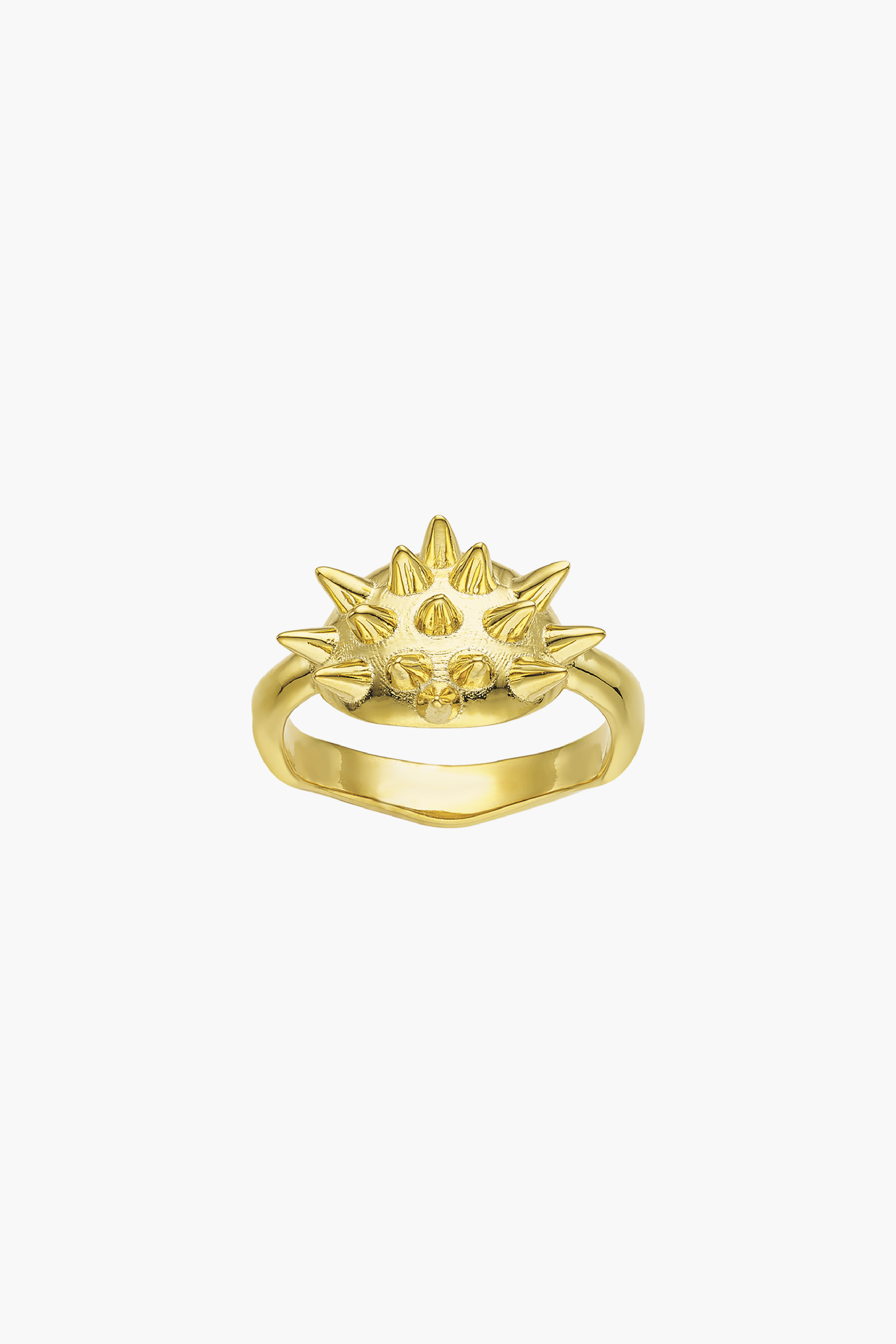 Ahinos Spike Ring
