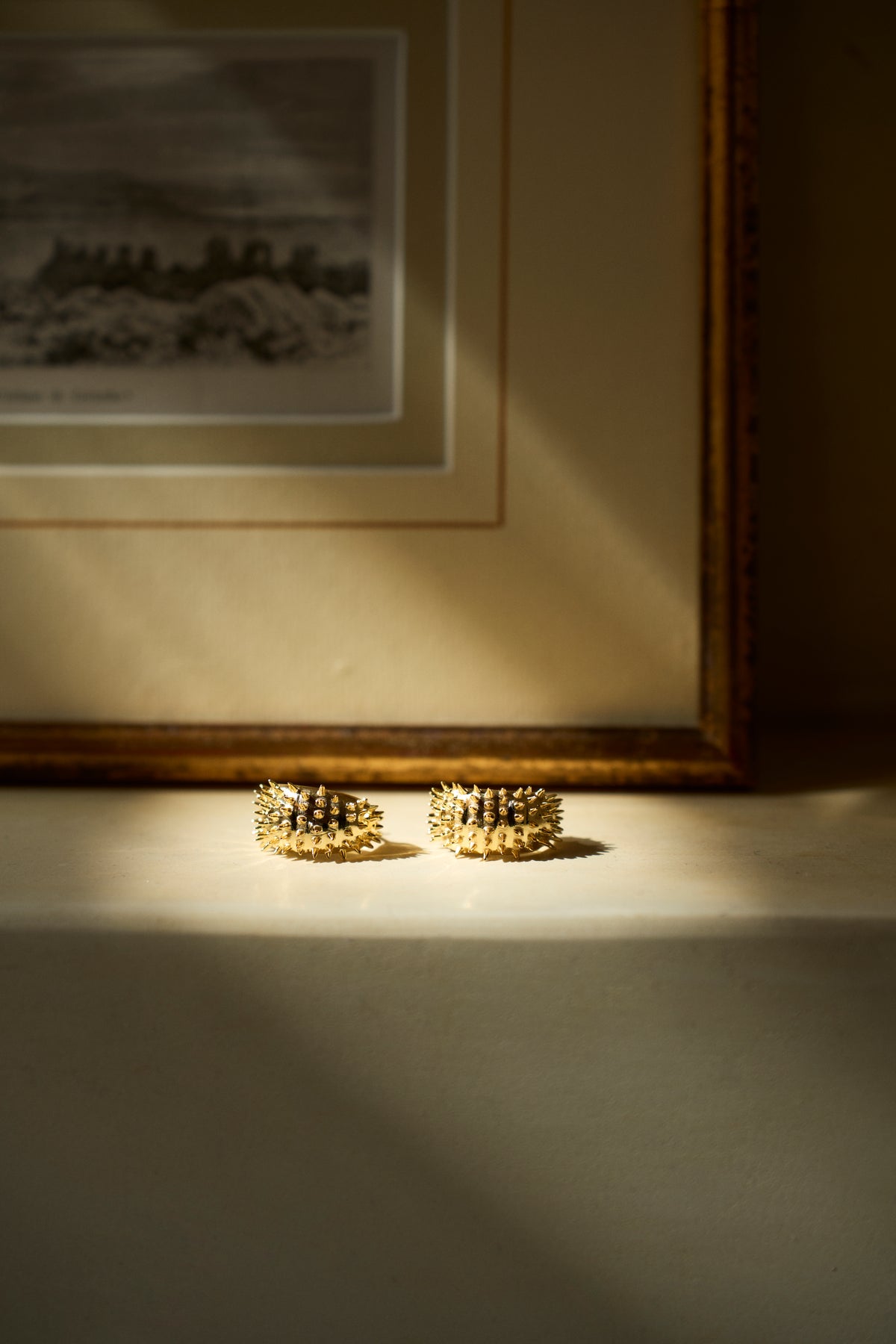 Feggeri Ahinos spike earrings in gold vermeil on a sunlit surface
