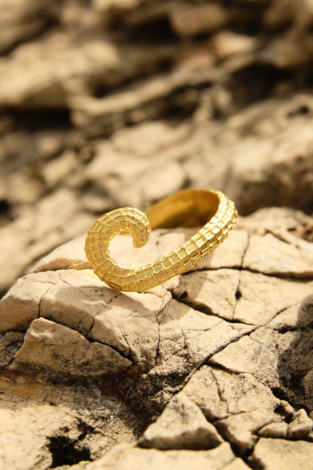Feggeri Ippos seahorse cuff in gold vermeil resting on a rock
