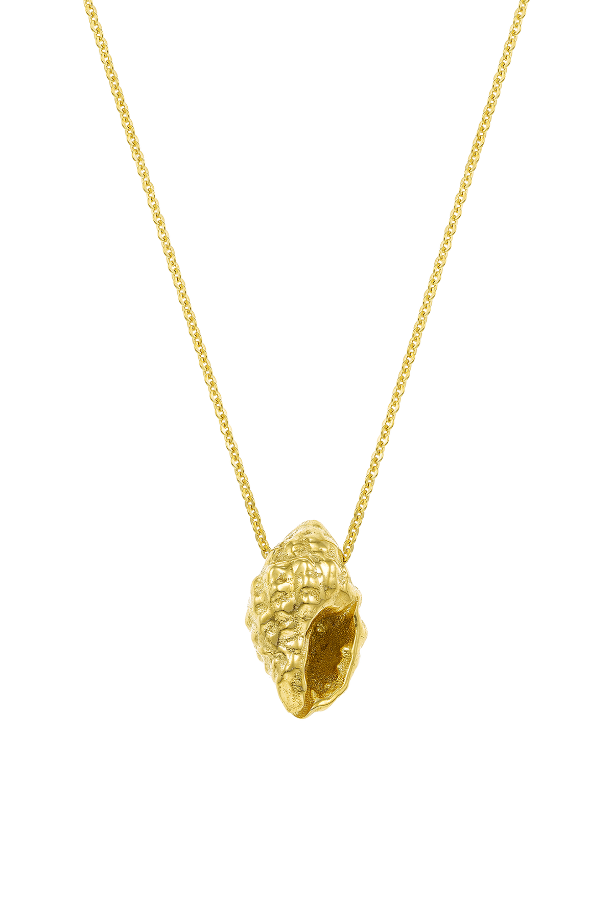 Feggeri Conch Shell Gold Vermeil Necklace