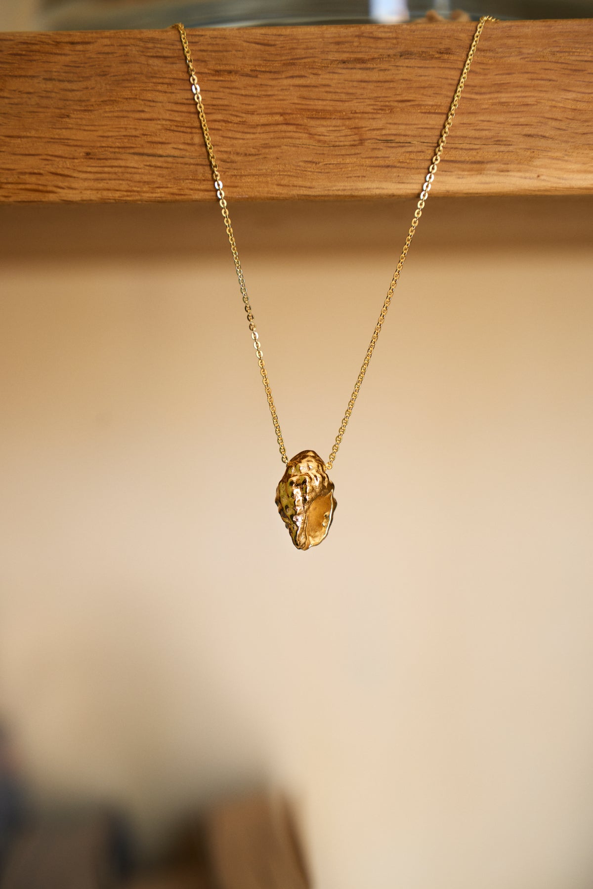Feggeri Conch Shell necklace in gold vermeil hanging from a wooden ledge